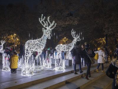 Грейна коледната елха в центъра на Стара Загора