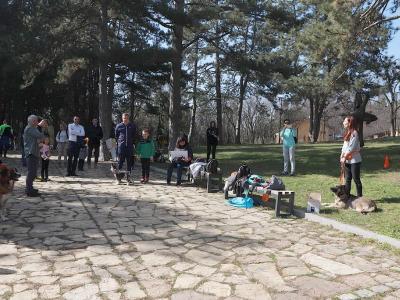 Инициатива  Добър стопанин бъди, след кучето си почисти  стартира в Стара Загора