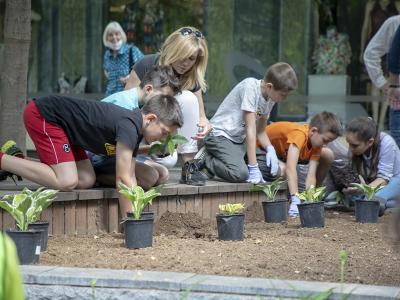 Четвъртокласници засадиха 150 цветя в центъра на Стара Загора