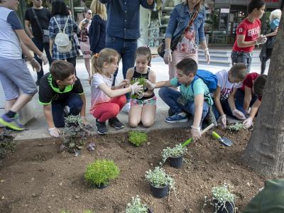 Четвъртокласници засадиха 150 цветя в центъра на Стара Загора