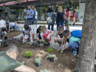 Четвъртокласници засадиха 150 цветя в центъра на Стара Загора