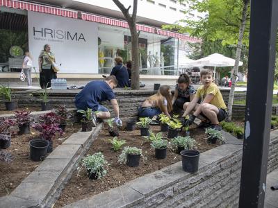 Четвъртокласници засадиха 150 цветя в центъра на Стара Загора