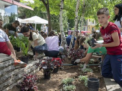 Четвъртокласници засадиха 150 цветя в центъра на Стара Загора