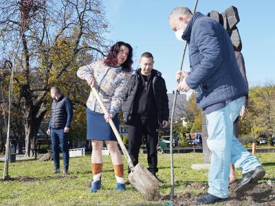 Коалиция ГЕРБ-СДС закри кампанията си в Стара Загора със засаждането на 32 дръвчета