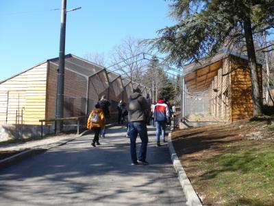 Зоопаркът е готов, сега само от държавата зависи кога ще бъде отворен за посещения