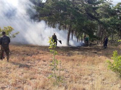 Военнослужещи от Сухопътните войски помагат в гасенето на пожар над старозагорското село Дълбоки