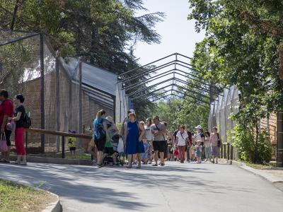 Откриха обновения старозагорски Зоопарк и официално - с водосвет и хиляди детски усмивки