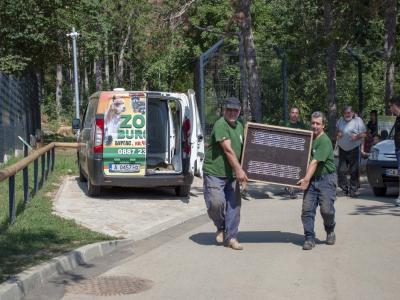 Двойка кенгуру са вече част от Зоопарка в Стара Загора