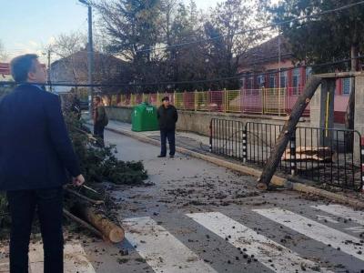 Няма пострадали хора след бурния вятър в Стара Загора