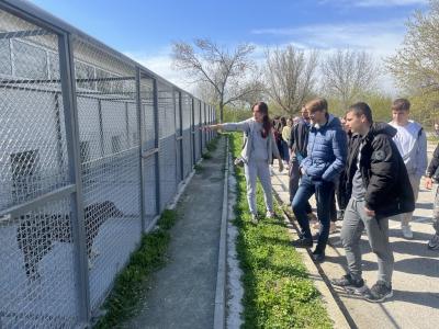 Старозагорски ученици ще са посланици на осиновяването на кучета от общинския приют