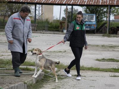 Женският баскетболен отбор  Берое  прегърна кампанията Осинови (си) обич