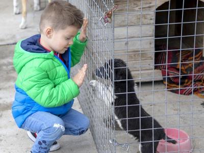 Женският баскетболен отбор  Берое  прегърна кампанията Осинови (си) обич