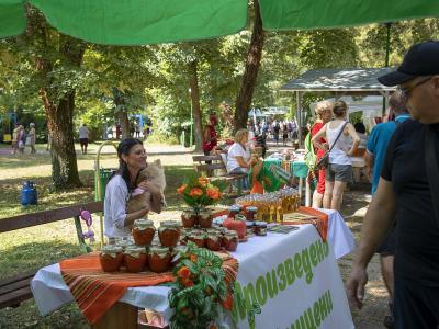 Близо 4000 участници събра XVII Национален тракийски фолклорен събор  Богодорична стъпка