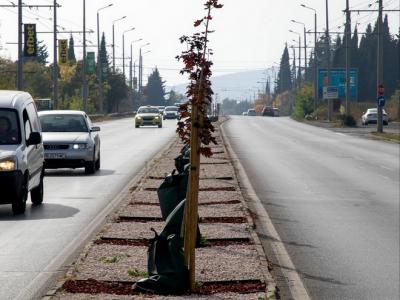 Северният вход на Стара Загора посреща пътуващите с нов облик