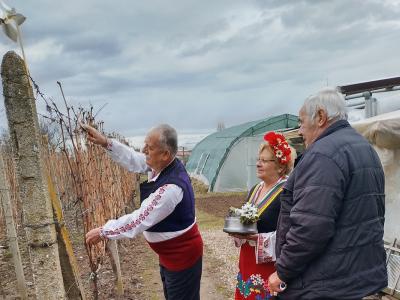 Празника на виното отбелязаха десетки старозагорски села за здрава и плодородна година