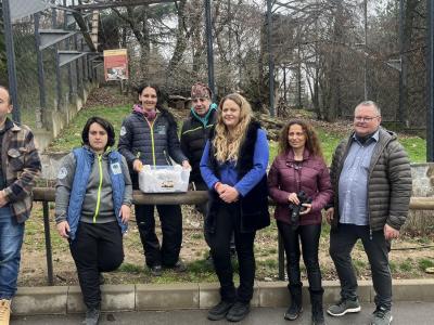 Новоизлюпеното белоглаво лешоядче се върна при своите родители в Зоопарк Стара Загора