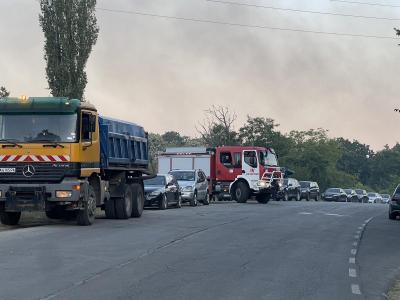 Стара Загора се бори да спаси своята гора