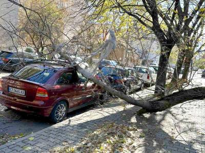 Община Стара Загора призовава за повишено внимание поради усложнената метеорологична обстановка