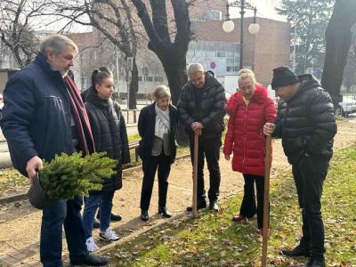 Чудната елха  изпълни благородната си мисия – символът на добротата бе засаден