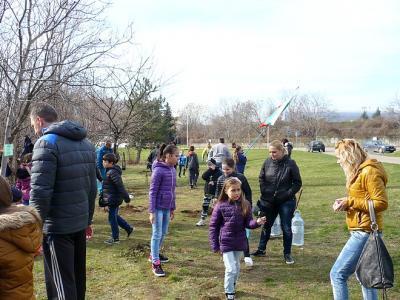 И тази година терен за засаждане на коледни дръвчета очаква старозагорци след празниците