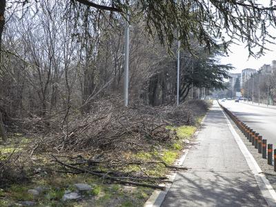 Почистват старозагорския парк  Загорка