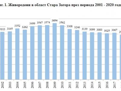 Раждаемост, смъртност и миграция на населението в област Стара Загора през 2020 г.