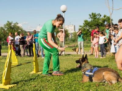 Празник за деца и кучета на 1 юни в Стара Загора