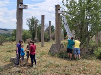 Млади изследователи от Тракийския университет участват в проучване за къщички за гнездене на белошипи ветрушки в Сакар