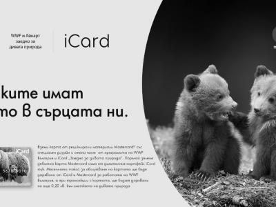 The Bear Card: дарителска карта в подкрепа на българските мечки от WWF България, iCard и Mastercard