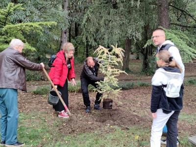 Старозагорка засади 50 дървета в Аязмото за юбилея си