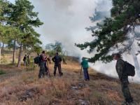 Военнослужещи от Сухопътните войски помагат в гасенето на пожар над старозагорското село Дълбоки