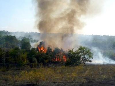 Мини Марица-изток  ЕАД оказва помощ за потушаване на пожарите в Хасковска област