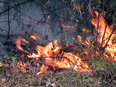 Частично бедствено положение е обявено в радневското село Полски градец