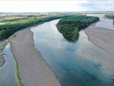 WWF: Дунав поставя ежедневни рекорди за най-ниски водни нива