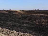 Пожарът в близост до територията на  Мини Марица-изток  ЕАД не засташава работния процес