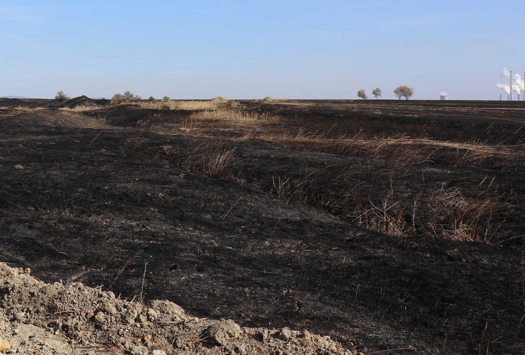 Пожарът в близост до територията на  Мини Марица-изток  ЕАД не засташава работния процес