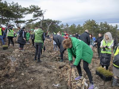 Стотици старозагорци се включиха в  Зелената инициатива  на Община Стара Загора