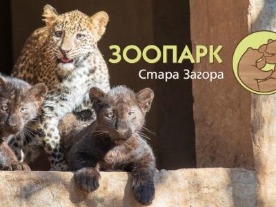 Своите 66 години празнува Зоопаркът в Стара Загора