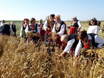 Пшеницата празнуват в Пшеничево на 1 юли