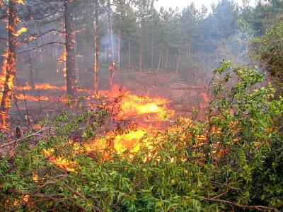 Частично бедствено положение е обявено в района на Казанлък заради пожар