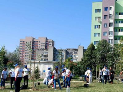 Брези и японски вишни красят южната част на парк  Артилерийски