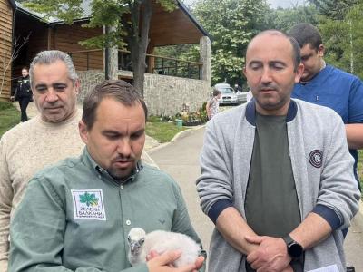 За втори път една от двойките лешояди в Зоопарк Стара Загора станаха родители