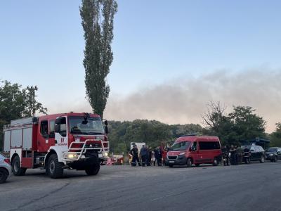 Стара Загора се бори да спаси своята гора