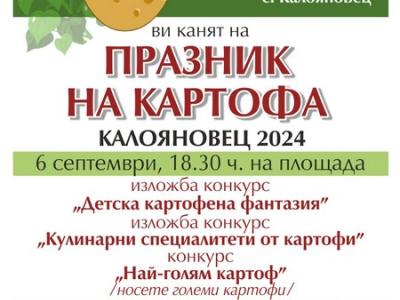 Кулинарни изкушения от картофи очакват посетителите на Празника на картофа в село Калояновец