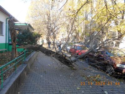 Улични музиканти с тарамбуки и с гайда ще бъдат глобени – свирили без разрешителни